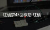 紅樓夢45回概括 紅樓夢45回的概括