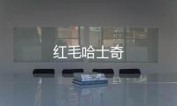 紅毛哈士奇