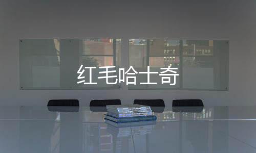 紅毛哈士奇