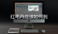紅毛丹應該如何剝