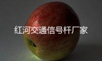 紅河交通信號桿廠家