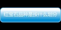 紅寶石品種是按什么劃分的(按照什么來劃分商品品種)