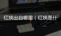 紅姨出自哪里（紅姨是什么梗）