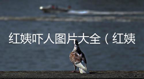 紅姨嚇人圖片大全（紅姨嚇人圖片）