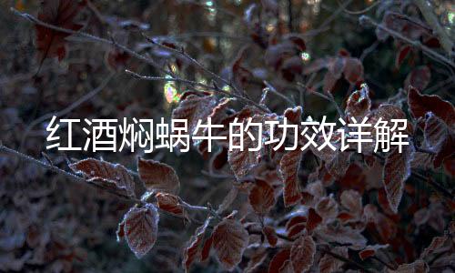 紅酒燜蝸牛的功效詳解