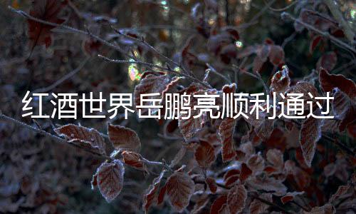 紅酒世界岳鵬亮順利通過WSET四級考試