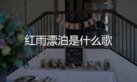 紅雨漂泊是什么歌