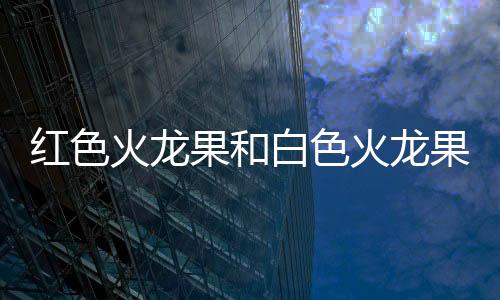 紅色火龍果和白色火龍果的區(qū)別