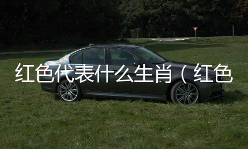 紅色代表什么生肖（紅色代表什么）
