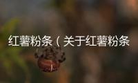紅薯粉條（關于紅薯粉條的基本情況說明介紹）