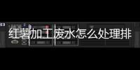 紅薯加工廢水怎么處理排放（打紅薯粉的水怎么處理）