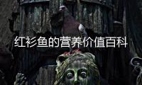 紅衫魚的營(yíng)養(yǎng)價(jià)值百科