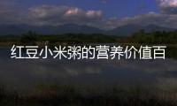 紅豆小米粥的營養(yǎng)價值百科