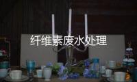 纖維素廢水處理