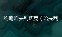 約翰哈夫利切克（哈夫利切克）