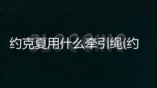 約克夏用什么牽引繩(約克夏什么不能吃)