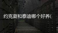 約克夏和泰迪哪個好養(約克夏和泰迪哪個好)