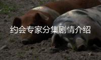 約會專家分集劇情介紹