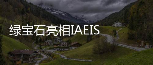 綠寶石亮相IAEIS 2025國際汽車電子產(chǎn)業(yè)峰會