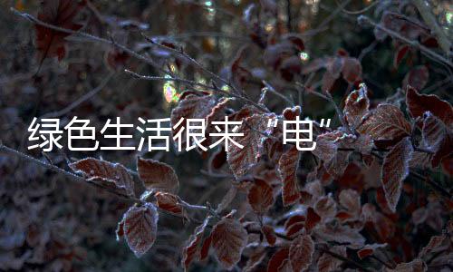 綠色生活很來“電”  陽光新能源攜手小紅書共創零碳生活新范式