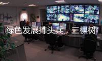 綠色發展排頭兵，三棵樹助力綠色建材下鄉惠民千萬家