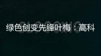 綠色創變先鋒葉梅：高科技時代，生態文學如何影響人心？