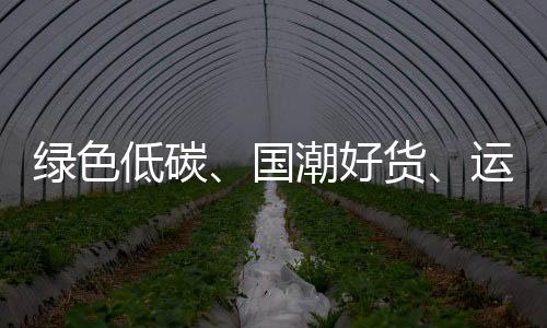 綠色低碳、國潮好貨、運(yùn)動(dòng)健康唱“主角”——從消博會(huì)看消費(fèi)新趨勢
