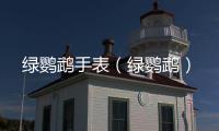 綠鸚鵡手表（綠鸚鵡）