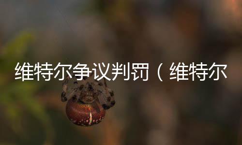 維特爾爭議判罰（維特爾被罰時5秒痛失冠軍）