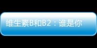 維生素B和B2：誰是你的營養(yǎng)小助手？
