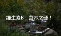 維生素B，營養之源！