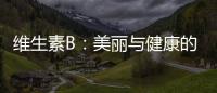 維生素B：美麗與健康的黃金配方