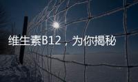 維生素B12，為你揭秘最佳品牌！