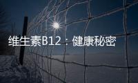 維生素B12：健康秘密揭示！