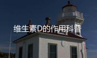 維生素D的作用科普