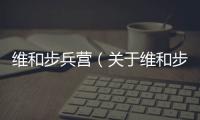 維和步兵營（關于維和步兵營的基本情況說明介紹）