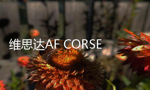 維思達(dá)AF CORSE 車隊(duì)舉行慶祝派對(duì) 為2024年國(guó)際汽聯(lián)世界耐力錦標(biāo)賽預(yù)熱助威