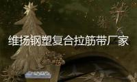 維揚(yáng)鋼塑復(fù)合拉筋帶廠家