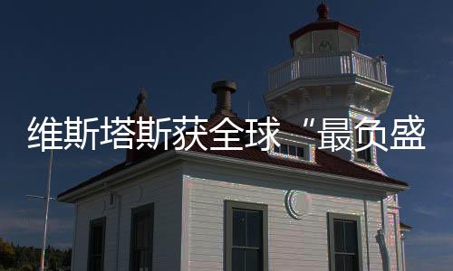 維斯塔斯獲全球“最負(fù)盛名能源獎(jiǎng)”