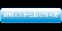 維族人為什么恨漢族網友會怎么評論?