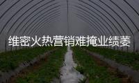 維密火熱營銷難掩業(yè)績萎靡 一季度凈利同比降一半