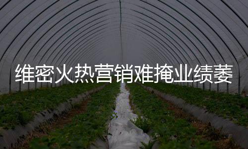 維密火熱營銷難掩業(yè)績萎靡 一季度凈利同比降一半