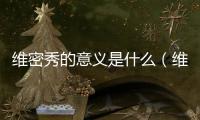 維密秀的意義是什么（維密秀的意義）