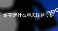 維密是什么意思圖片，維密是什么意思