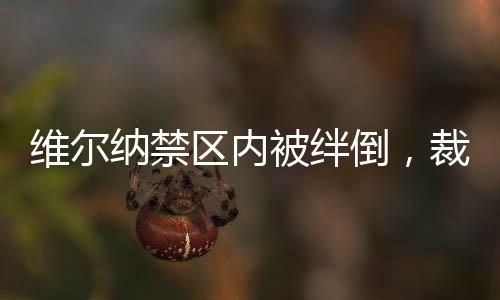 維爾納禁區(qū)內(nèi)被絆倒，裁判未判點球&VAR未介入