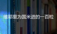 維耶里為國米進的一百粒意甲進球