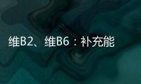 維B2、維B6：補充能量與煥發活力的秘密