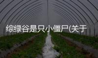 綜綠谷是只小僵尸(關于綜綠谷是只小僵尸簡述)