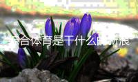 綜合體育是干什么的新浪體育歐洲杯2024/5/9體育買球網(wǎng)站