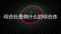 綜合處是做什么的綜合體育館建設(shè)標(biāo)準(zhǔn)5播體育